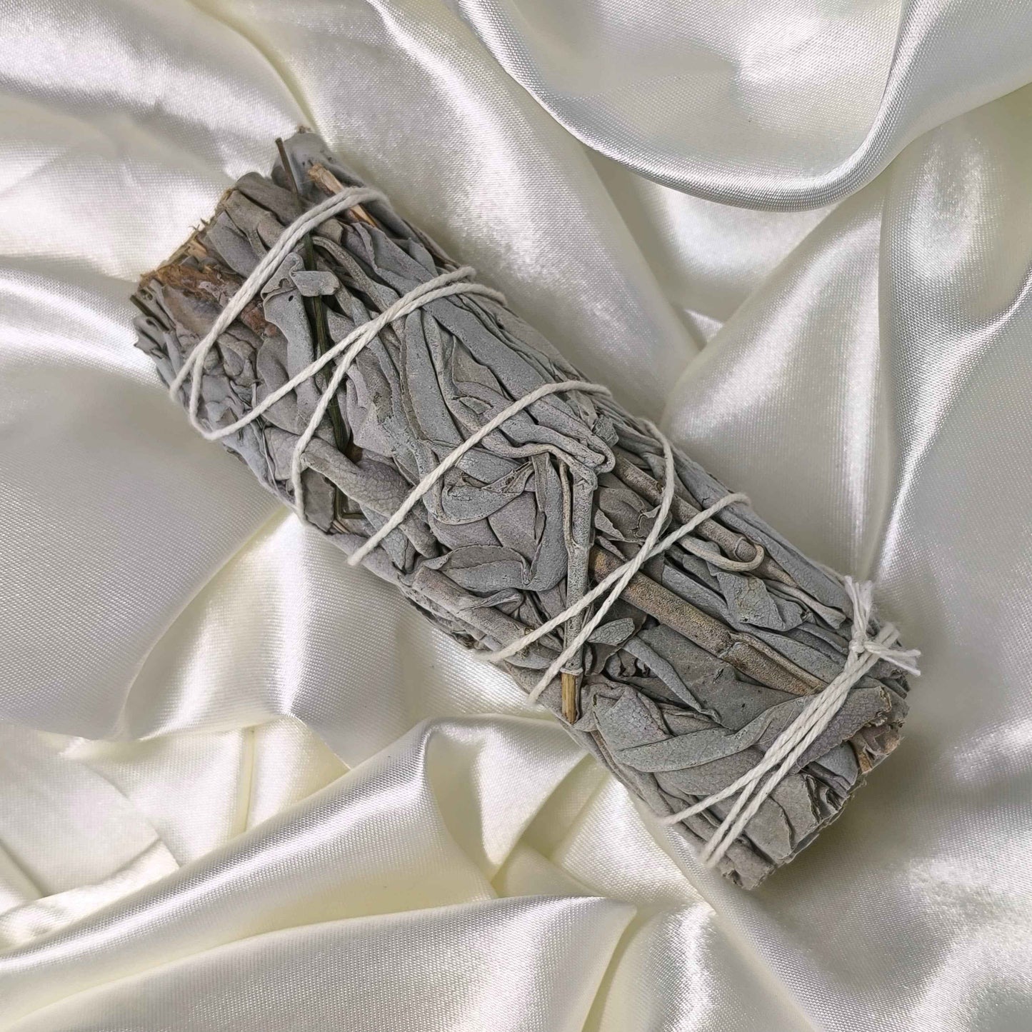 Sauge Blanche – Purification & Énergies Positives - Cristaux Magiques