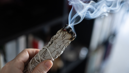 Sauge : bienfaits, purification et comment l’utiliser efficacement