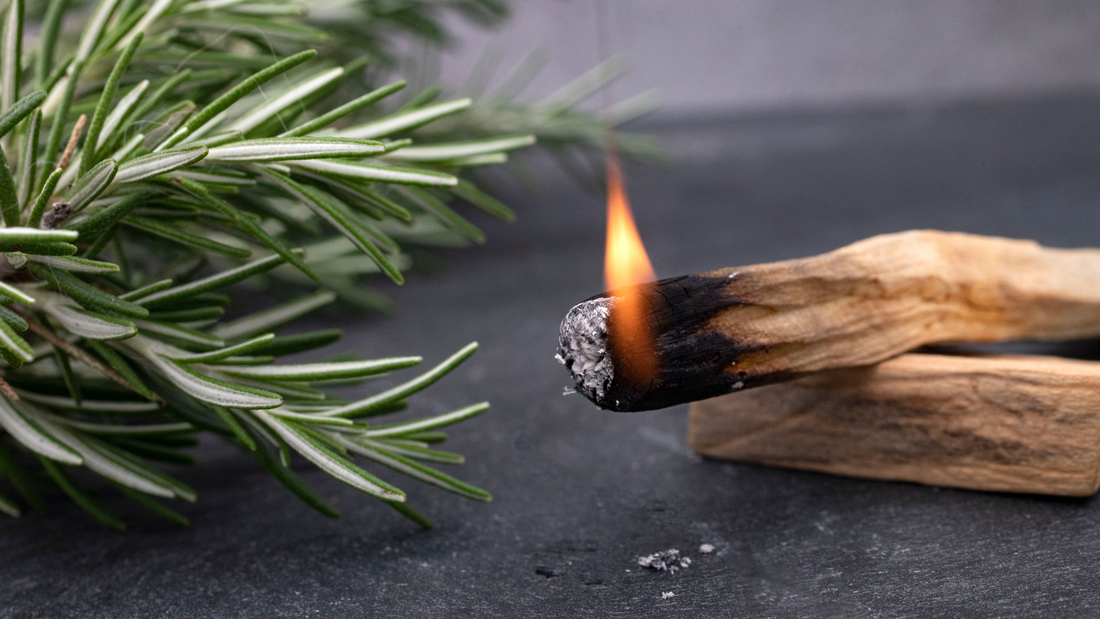 Palo santo : bienfaits, purification et comment l’utiliser efficacement